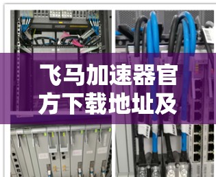 飞马加速器官方下载地址及安装指南