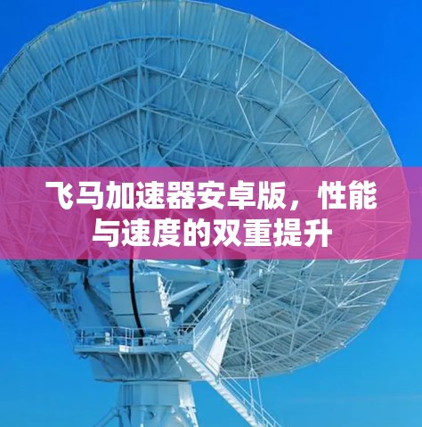 飞马加速器安卓版，性能与速度的双重提升