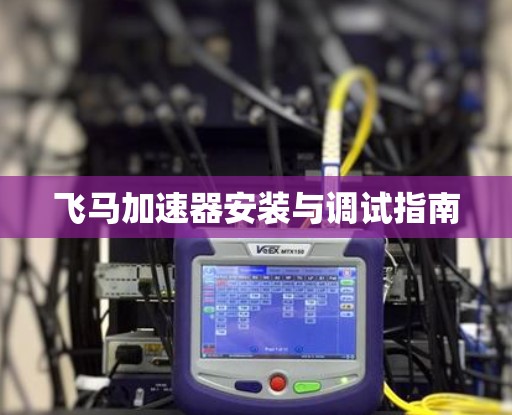 飞马加速器安装与调试指南