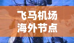 飞马机场海外节点建设与应用探讨