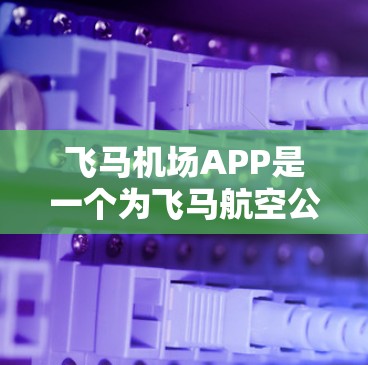 飞马机场APP是一个为飞马航空公司乘客和工作人员设计的智能化应用程序，旨在提供便捷的航空服务和信息查询功能。以下是该应用的详细概述