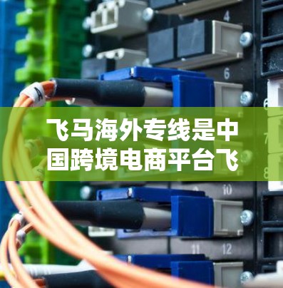 飞马海外专线是中国跨境电商平台飞马网络为小微企业提供的海外市场拓展服务。该服务旨在帮助企业轻松进入国际市场，利用飞马的专业知识和资源，简化跨境电商流程，降低成本，提升品牌影响力
