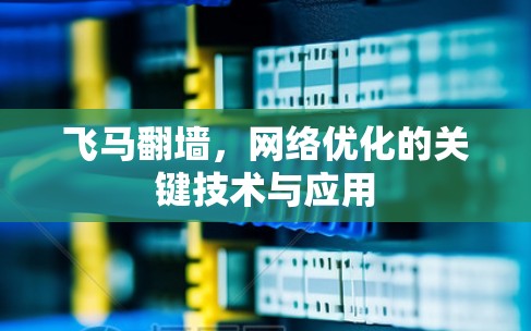 飞马翻墙，网络优化的关键技术与应用