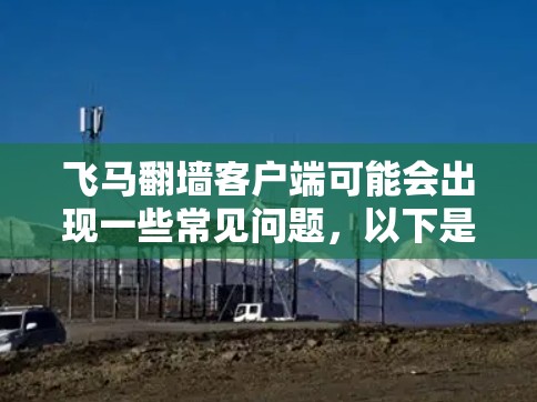 飞马翻墙客户端可能会出现一些常见问题，以下是解决步骤