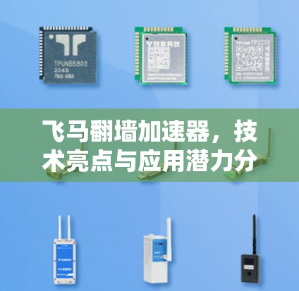 飞马翻墙加速器，技术亮点与应用潜力分析