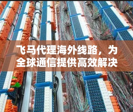 飞马代理海外线路，为全球通信提供高效解决方案