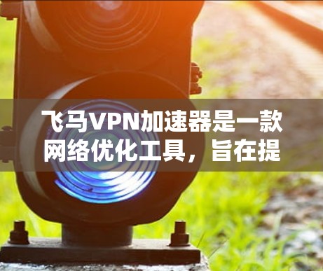 飞马VPN加速器是一款网络优化工具，旨在提升网络连接速度和稳定性。以下是关于飞马VPN加速器的一些详细信息