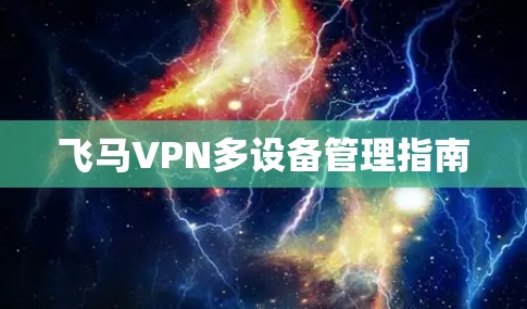飞马VPN多设备管理指南