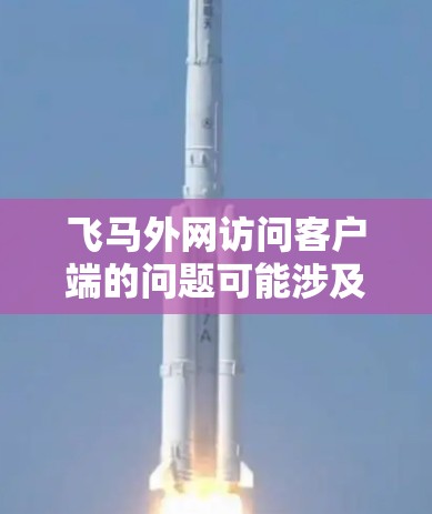 飞马外网访问客户端的问题可能涉及多个方面，以下是一些可能的解决步骤和建议