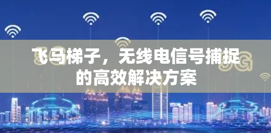 飞马梯子，无线电信号捕捉的高效解决方案
