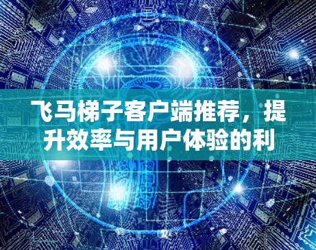飞马梯子客户端推荐，提升效率与用户体验的利器