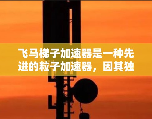 飞马梯子加速器是一种先进的粒子加速器，因其独特的设计和工作原理而备受关注。以下是对其详细介绍