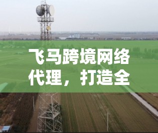 飞马跨境网络代理，打造全球一站式通信解决方案