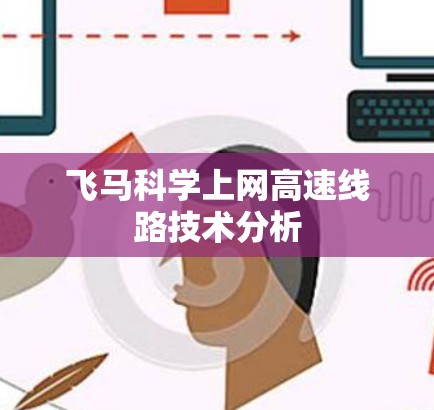飞马科学上网高速线路技术分析