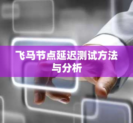 飞马节点延迟测试方法与分析