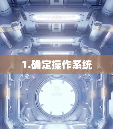 1.确定操作系统
