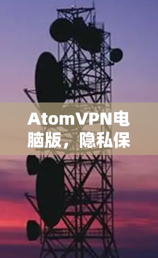 AtomVPN电脑版，隐私保护与高速连接的双重保障