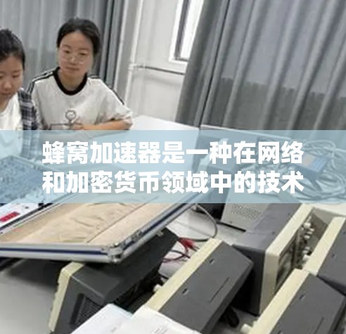 蜂窝加速器是一种在网络和加密货币领域中的技术，它结合了加速功能和隐私保护机制，以提高数据传输效率和安全性。以下是蜂窝加速器隐私保护的关键要点