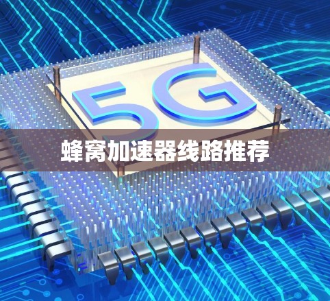 蜂窝加速器线路推荐
