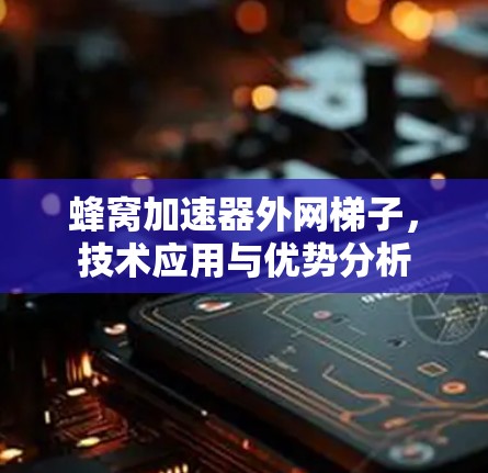 蜂窝加速器外网梯子，技术应用与优势分析