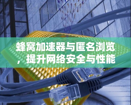 蜂窝加速器与匿名浏览，提升网络安全与性能的双重策略