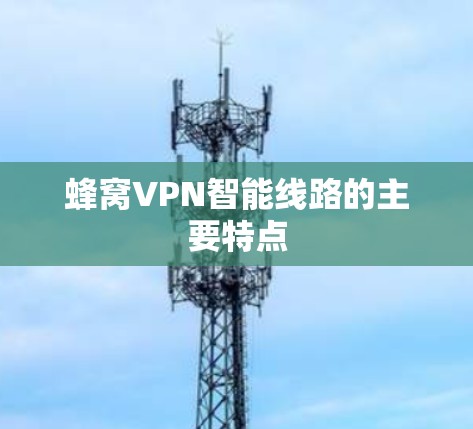 蜂窝VPN智能线路的主要特点