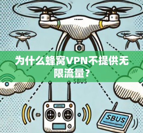为什么蜂窝VPN不提供无限流量？
