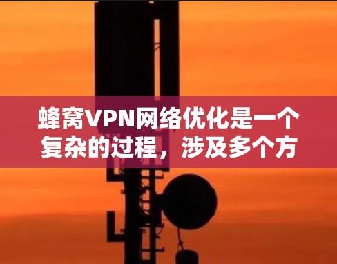 蜂窝VPN网络优化是一个复杂的过程，涉及多个方面的考虑和调整。为了帮助您更好地理解和实施蜂窝VPN网络优化，我将分步骤解释优化的关键点