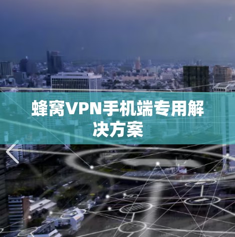 蜂窝VPN手机端专用解决方案