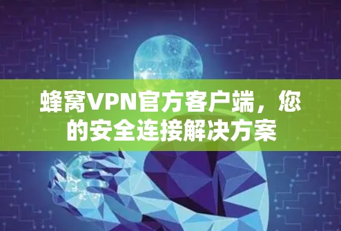 蜂窝VPN官方客户端，您的安全连接解决方案