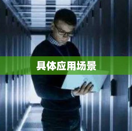 具体应用场景