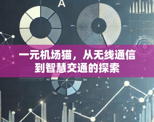 一元机场猫，从无线通信到智慧交通的探索