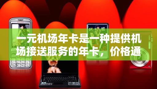 一元机场年卡是一种提供机场接送服务的年卡，价格通常为100元，适合需要定期使用机场接送服务的用户。以下是关于一元机场年卡的详细分析