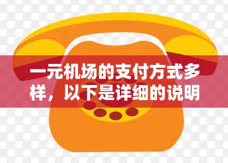 一元机场的支付方式多样，以下是详细的说明