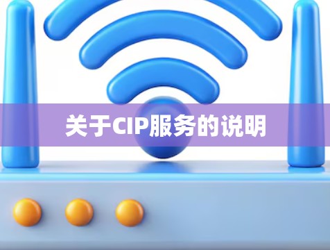 关于CIP服务的说明