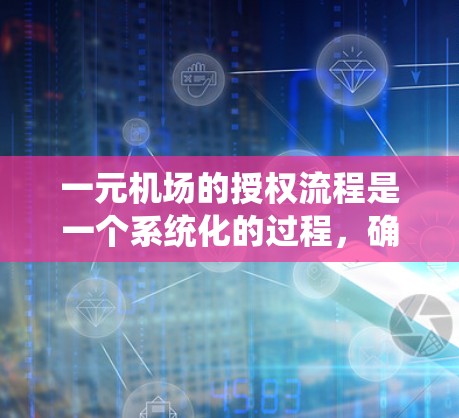 一元机场的授权流程是一个系统化的过程，确保所有机场类型的安全和高效运作。以下是详细的步骤说明