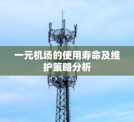 一元机场的使用寿命及维护策略分析