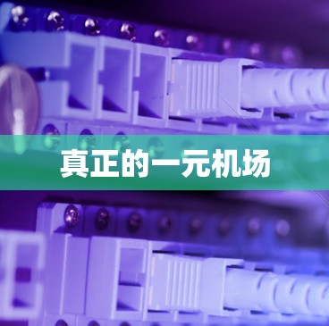 真正的一元机场