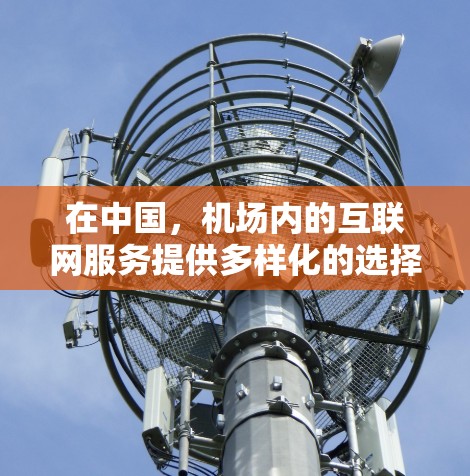 在中国，机场内的互联网服务提供多样化的选择，具体价格和速度因机场和运营商而异。以下是对一元机场网速问题的详细解答