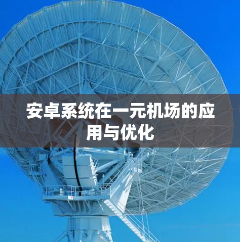 安卓系统在一元机场的应用与优化