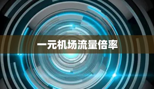一元机场流量倍率