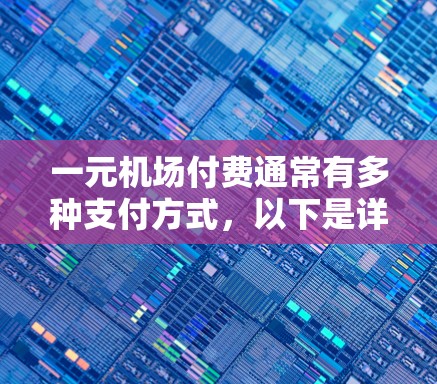 一元机场付费通常有多种支付方式，以下是详细的分析和建议