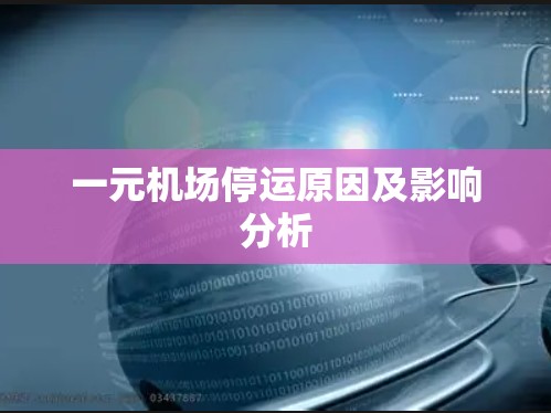 一元机场停运原因及影响分析