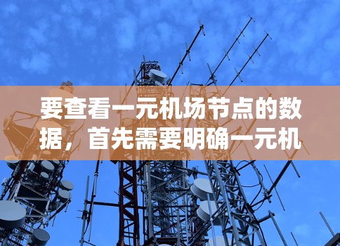 要查看一元机场节点的数据，首先需要明确一元机场节点的定义和用途。假设这指的是某种网络服务中的节点，可能涉及支付系统或区块链技术。以下是逐步的解决方案