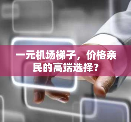 一元机场梯子，价格亲民的高端选择？