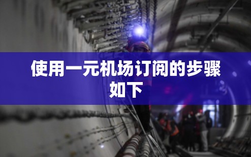 使用一元机场订阅的步骤如下