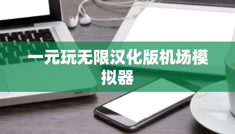一元玩无限汉化版机场模拟器