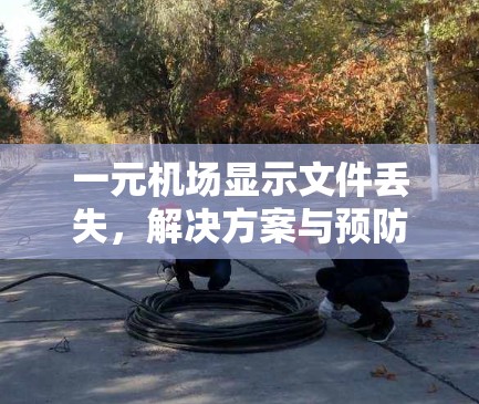 一元机场显示文件丢失，解决方案与预防措施
