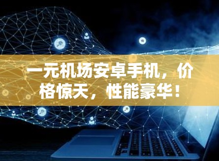 一元机场安卓手机，价格惊天，性能豪华！