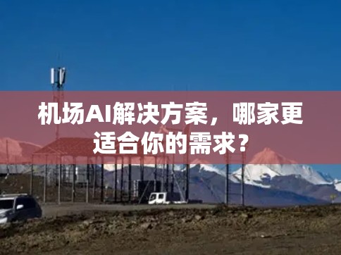 机场AI解决方案，哪家更适合你的需求？